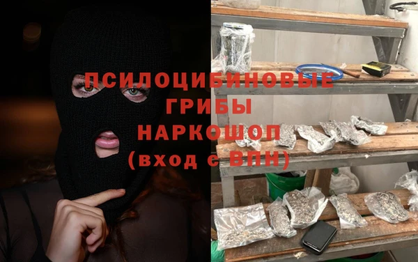 герыч Алексин