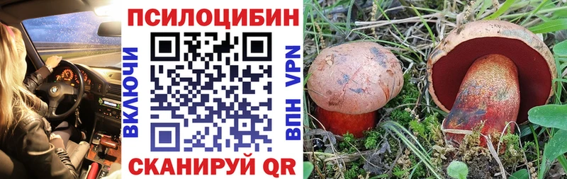 купить  цена  Жуковка  кракен вход  Галлюциногенные грибы Cubensis 