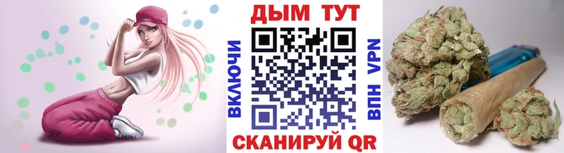 Шишки марихуана Ganja мега ссылка Жуковка как найти закладки